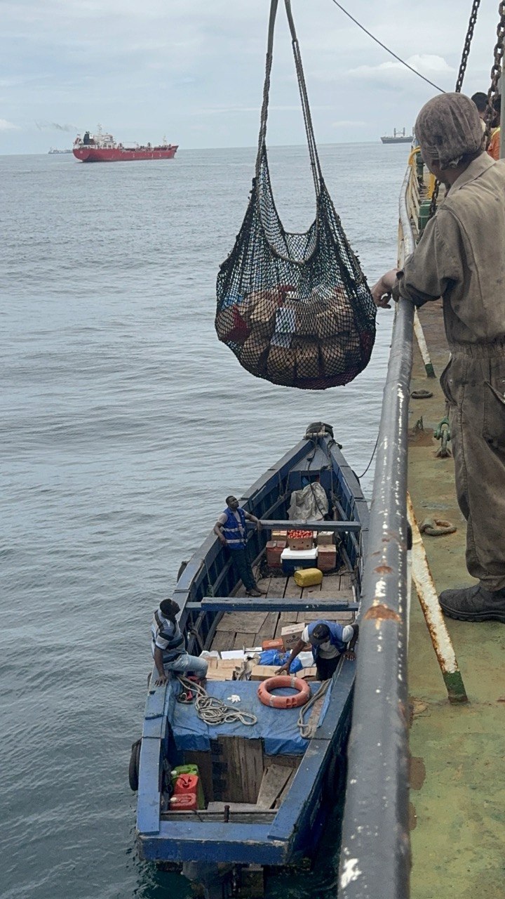 Excell Maritime Operation
